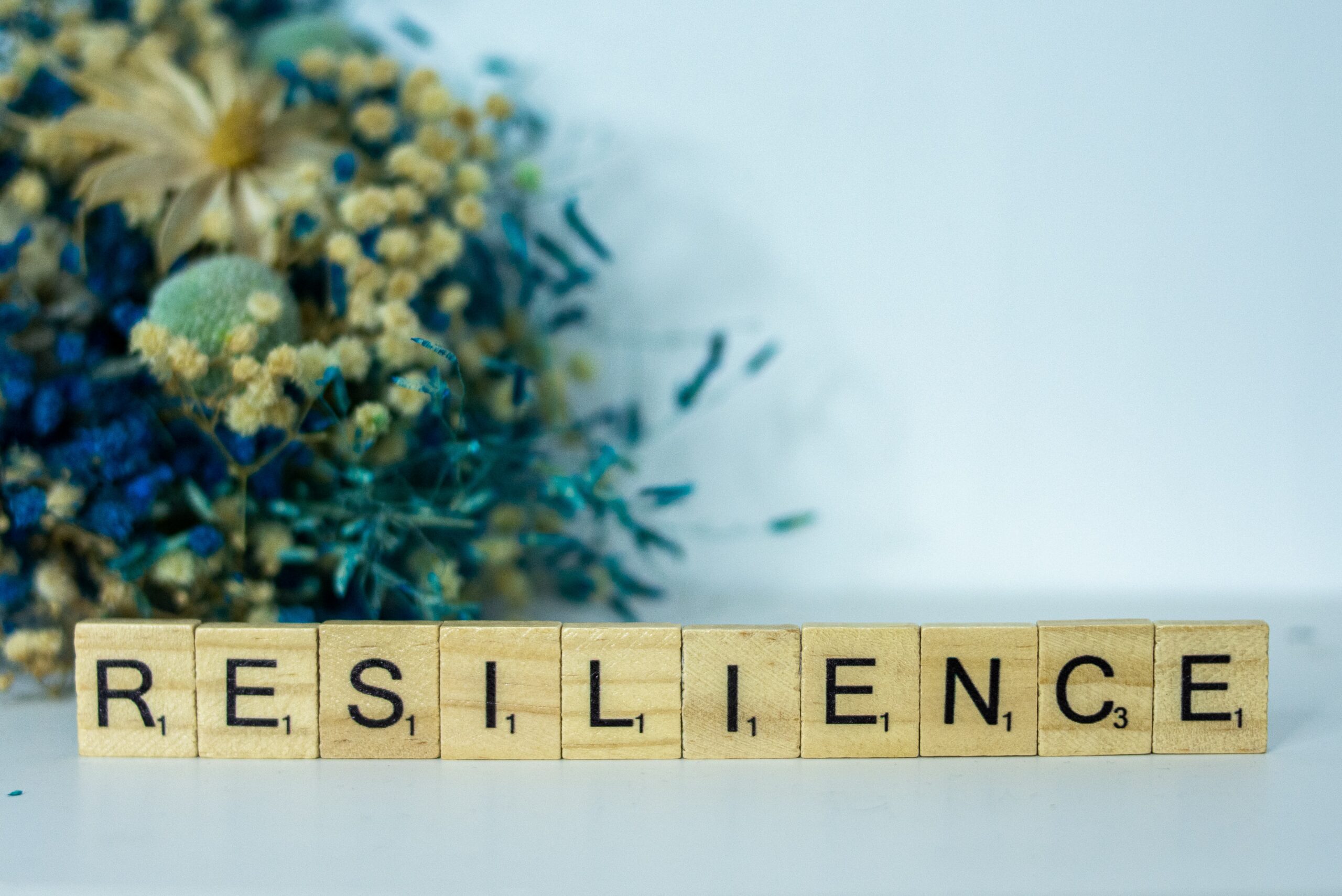 resilience photosite
